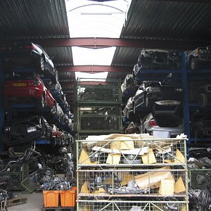 IMG_9823.jpg