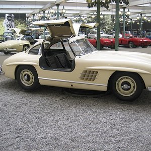 IMG_2693.jpg