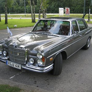 IMG_2628.jpg