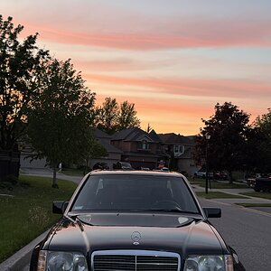 IMG_7181.jpeg